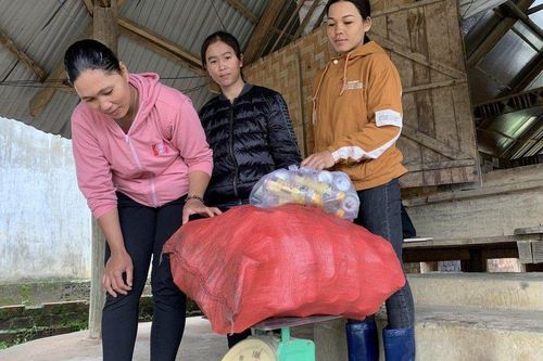Độc đáo mô hình biến rác thành tiền giúp người nghèo