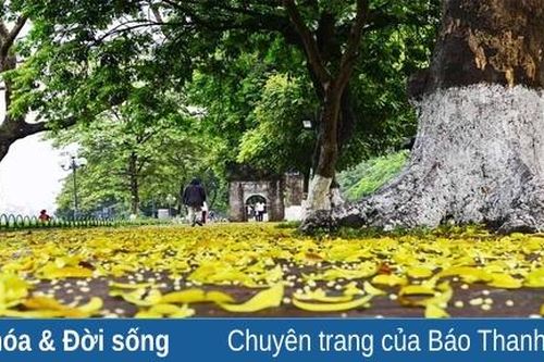 Sự kiện văn hóa – thể thao – giải trí ngày 10-8-2023
