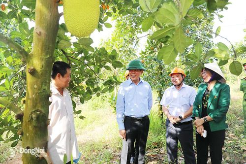 Nỗ lực vì sự phát triển của tỉnh