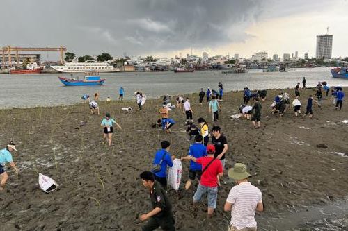 Tập trung phục hồi vịnh Nha Trang