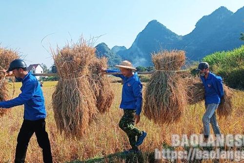 Tuổi trẻ Gia Lộc học và làm theo Bác: Góp sức trẻ vì cuộc sống cộng đồng