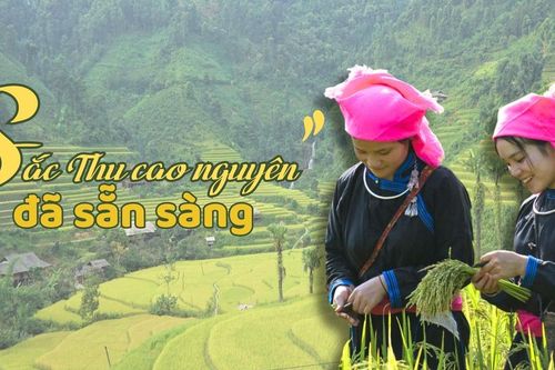'Sắc Thu cao nguyên' đã sẵn sàng