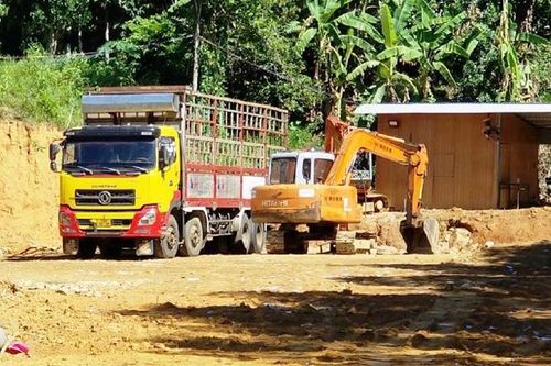 Kiểm soát các trạm thu mua keo tràm có gắn cân tải trọng