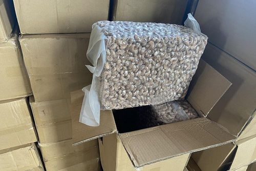 Hải quan Tây Ninh phát hiện lượng lớn hạt điều nhập khẩu không đúng khai báo