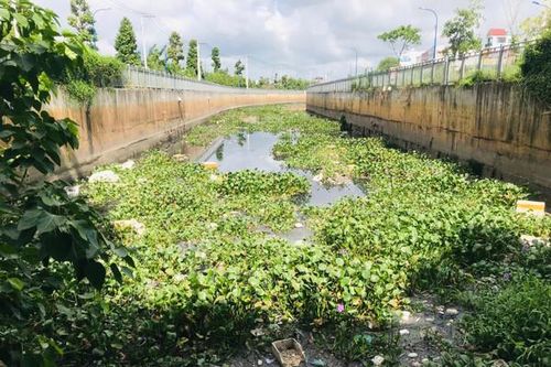 TP.HCM: Kênh Nước Đen ô nhiễm trở lại sau hơn 1 năm cải tạo