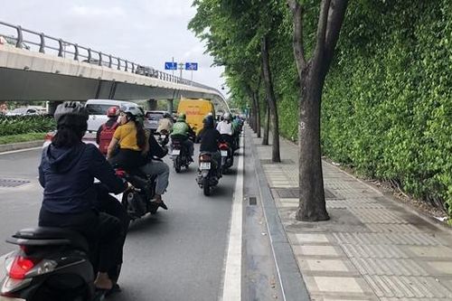 Vật liệu phủ gốc cây trên đường Trường Sơn là bê tông thấm nước