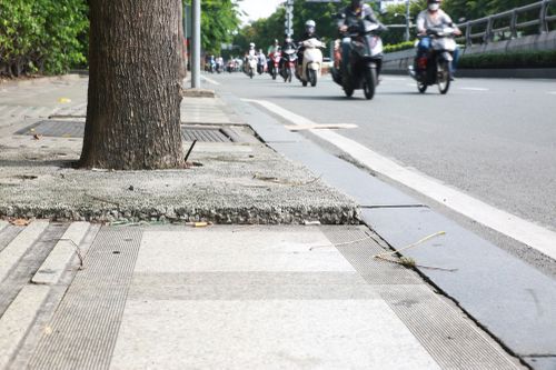 TP.HCM lý giải việc trám 'bê tông thấm nước' quanh gốc cây