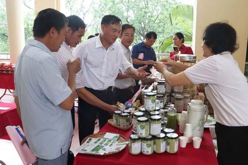 Hội Nông dân thành phố tham gia bảo đảm an toàn thực phẩm: Cần sự bền bỉ, đều tay để giữ thành quả