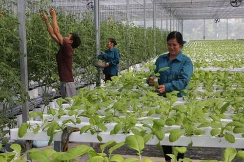 Xây dựng cộng đồng sản xuất an toàn ở Thanh Oai