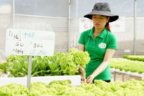 Liên kết vùng để phát huy thế mạnh nông nghiệp
