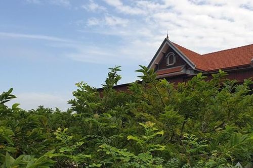 Làng biệt thự, xe hơi nhờ trồng na ở Đông Triều