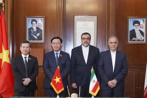 Việt Nam - Iran: Hợp tác vì hòa bình và phát triển