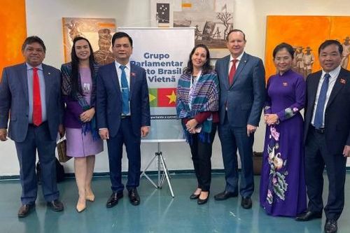 Đoàn đại biểu Hội đồng Dân tộc của Quốc hội thăm và làm việc tại Brazil