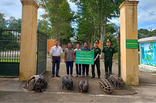 Trao tặng công trình nước sạch, mô hình sinh kế cho hộ nghèo biên giới Nghệ An