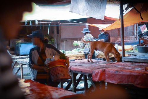 Chợ thịt tươi sống nổi tiếng cấm bán thịt chó mèo, nhiều người dân 'không vui'