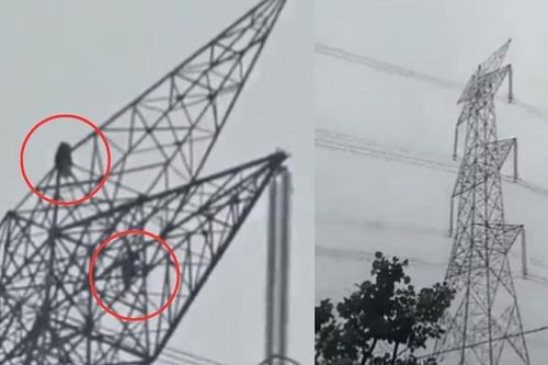 Cãi nhau với bạn trai, cô gái leo lên cột điện cao thế 24m ngồi