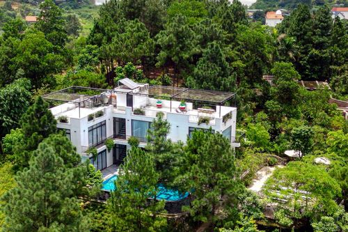 Chi cục Trưởng Kiểm lâm Hà Nội xót trước cảnh rừng Sóc Sơn bị 'xẻ thịt'
