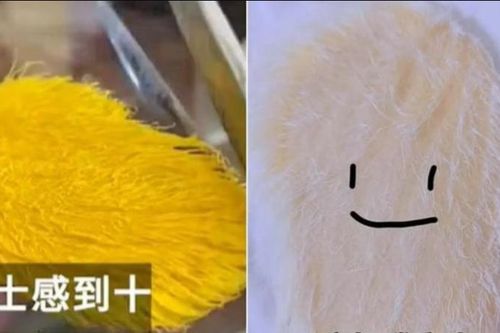 Thú chơi kỳ lạ biến hạt xoài thành 'thú cưng' gây sốt