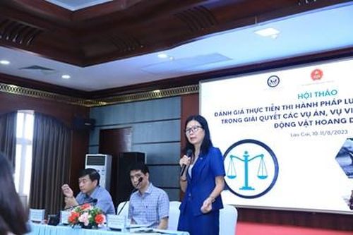 Thực tiễn giải quyết các vụ án, vụ việc liên quan đến động vật hoang dã