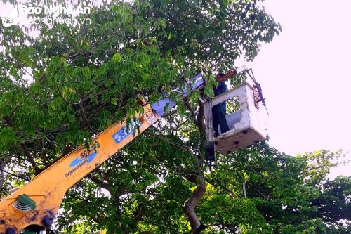 Nghệ An có 5 công ty cổ phần sẽ thực hiện thoái vốn trong giai đoạn 2024-2025