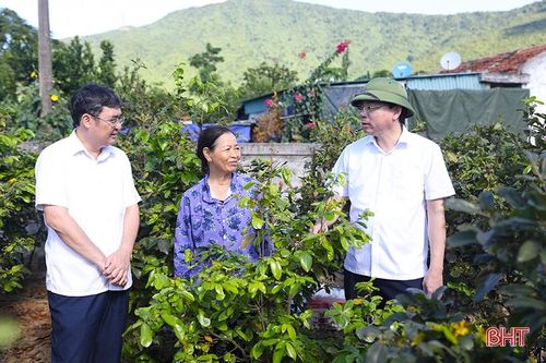 Kỳ Nam nỗ lực 'gỡ' các tiêu chí khó, phấn đấu lên phường vào năm 2024
