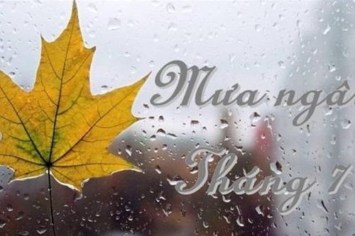 Thắp lên mùa ngâu