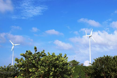Khảo sát dự án điện gió ngoài khơi để phục vụ xuất khẩu sang Singapore