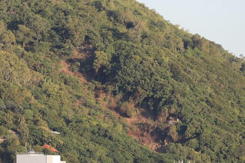 Bà Rịa-Vũng Tàu: Làm rõ vụ chặt hạ một vạt rừng trên triền Núi Nhỏ