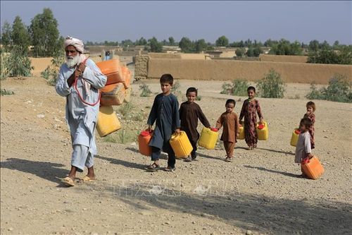 Hạn hán kéo dài làm trầm trọng cuộc khủng hoảng nhân đạo ở Afghanistan