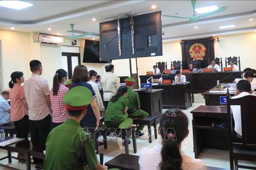 Liên quan đến Công ty Việt Á: Xét xử vụ án xảy ra tại CDC Hà Giang