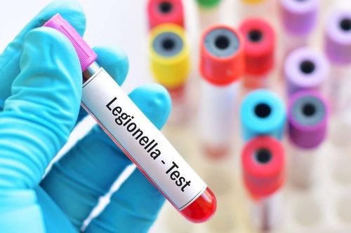 Anh di dời 39 người xin tị nạn do phát hiện vi khuẩn legionella trên tàu tạm trú