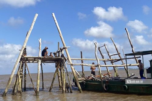Hải Phòng: Di dời, giải tỏa hơn 260 ha nuôi ngao không phép