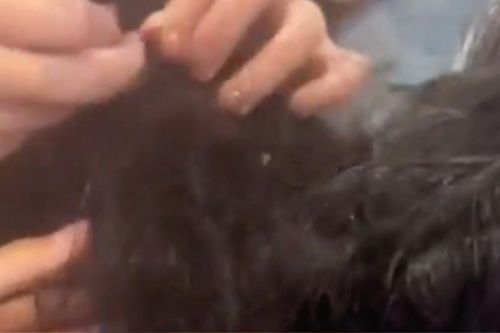 'Kiếp nạn' của cô gái gội đầu dưỡng sinh: Bị rối tóc đến mức phải đến salon cắt