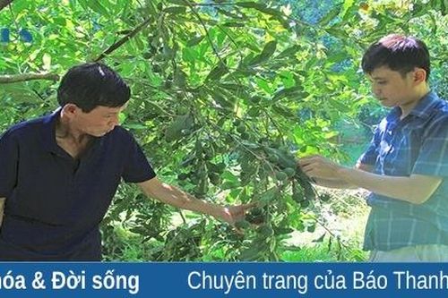 Về thăm Thiên Phủ