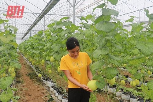 Để những mô hình không 'chết yểu'