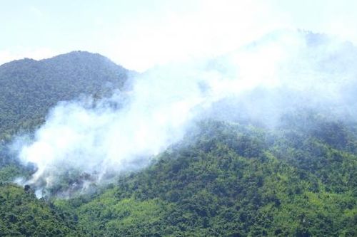 Ninh Hòa: Cháy rừng ở Ninh Tây