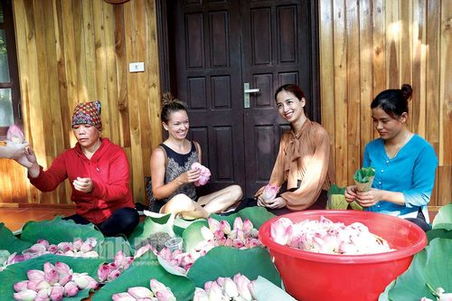 Xây dựng bản sắc riêng cho nông nghiệp Ninh Bình