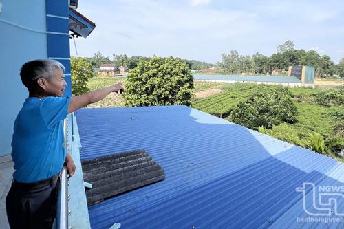 Điềm Thụy: Nuôi vịt trong khu dân cư gây ô nhiễm môi trường