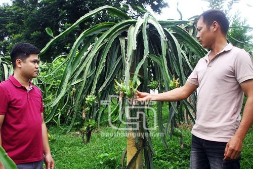 Nỗ lực giảm nghèo ở các xóm đặc biệt khó khăn