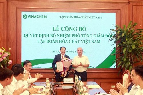 Tập đoàn Hóa chất Việt Nam bổ nhiệm Phó Tổng Giám đốc