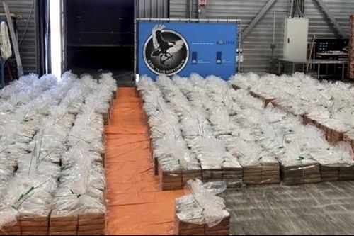 Hà Lan thu giữ hơn 8 tấn cocaine trên tàu chở chuối
