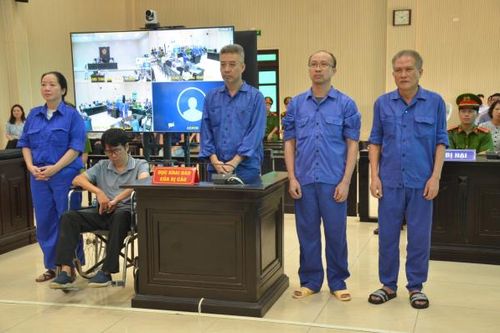 Cựu Chủ tịch Công ty Tây Hồ bị phạt 9 năm tù