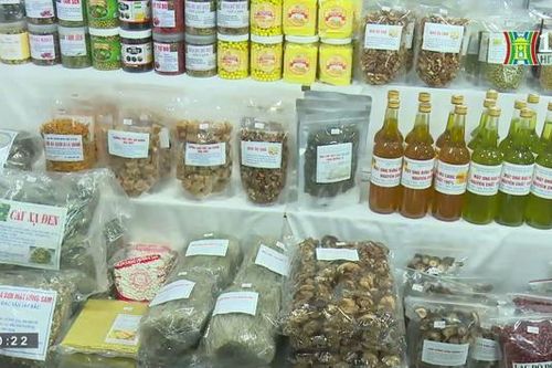 Hội chợ nông sản Hà Nội - kết nối giao thương | Trăm miền hội tụ | 11/08/2023