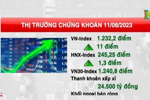 Thị trường chứng khoán ngày 11/08/2023