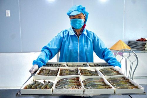 Sẵn sàng quảng bá tiềm năng
