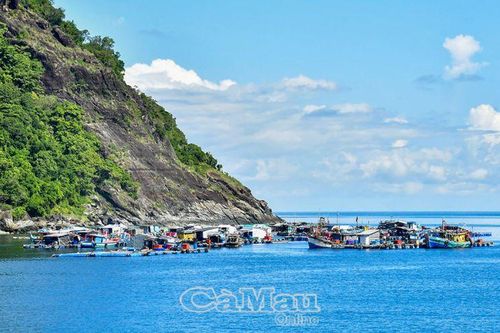 Vững tin vì ngày mai phát triển