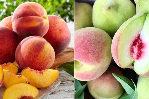 Mua đào nên chọn quả to hay quả nhỏ, đầu nhọn hay đầu tròn?
