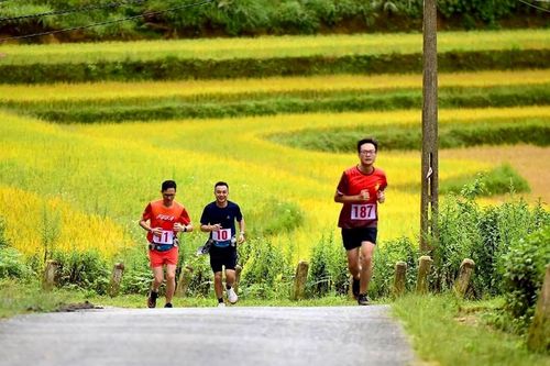 Festival Cao nguyên trắng mùa Thu 2023: Thử nghiệm sản phẩm du lịch thể thao tổng hợp