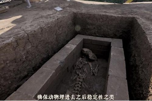 Mở mộ Hán Văn Đế, 'đứng tim' thấy bộ xương không phải... con người