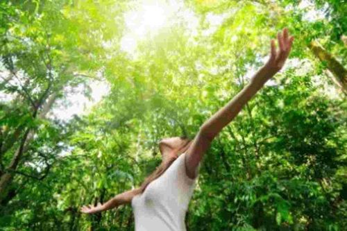 Thiên nhiên là liều thuốc quý